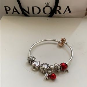NWB Pandora bracelet